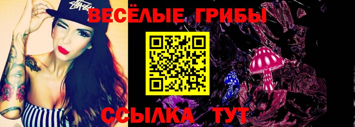 Псилоцибиновые грибы прущие грибы  Вход с VPN  Холмск  Галлюциногенные грибы Psilocybine cubensis 
